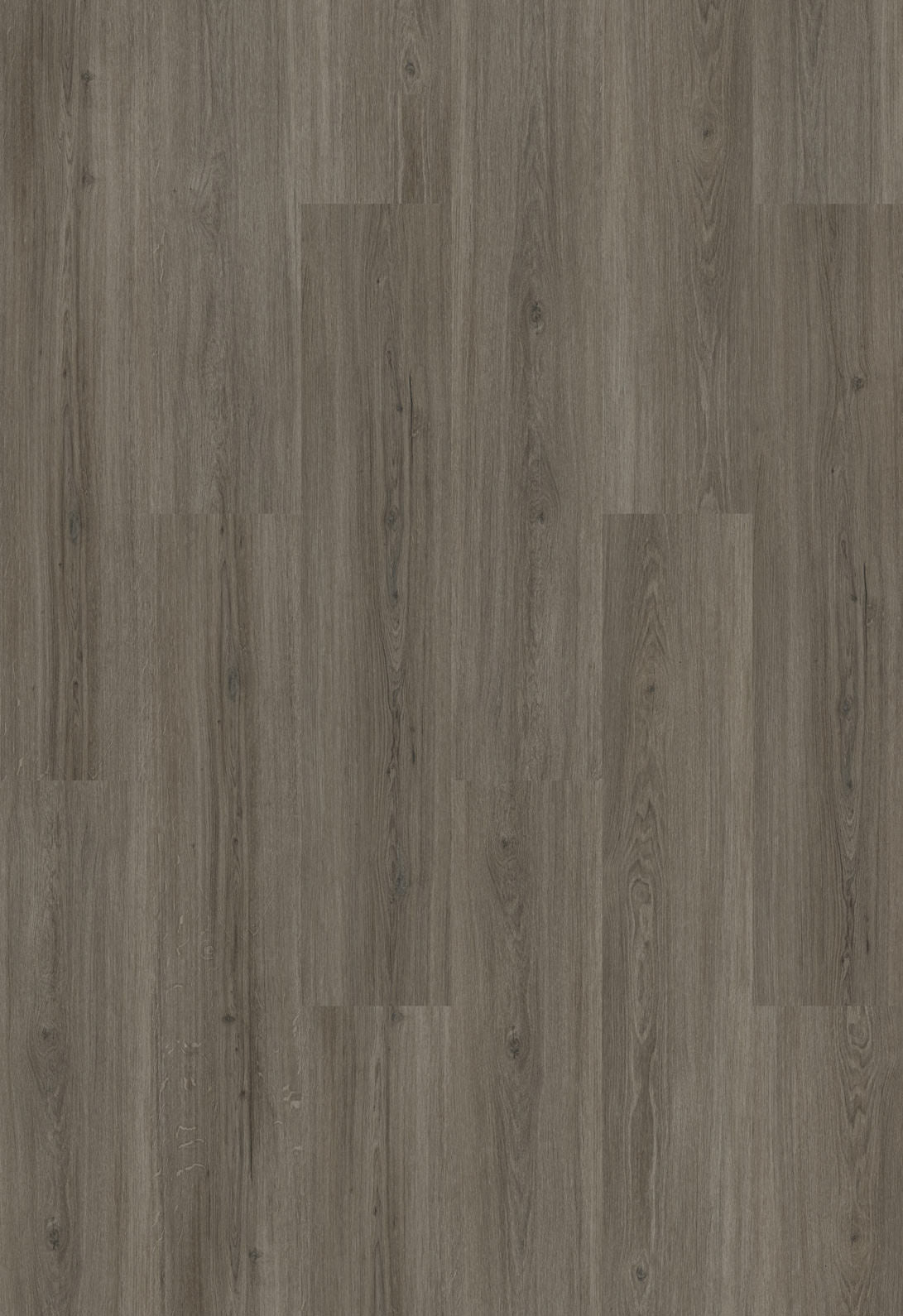 Designboden Homeline 55 2,5/0,55mm – 55-17 Eiche greige22,86x121,92