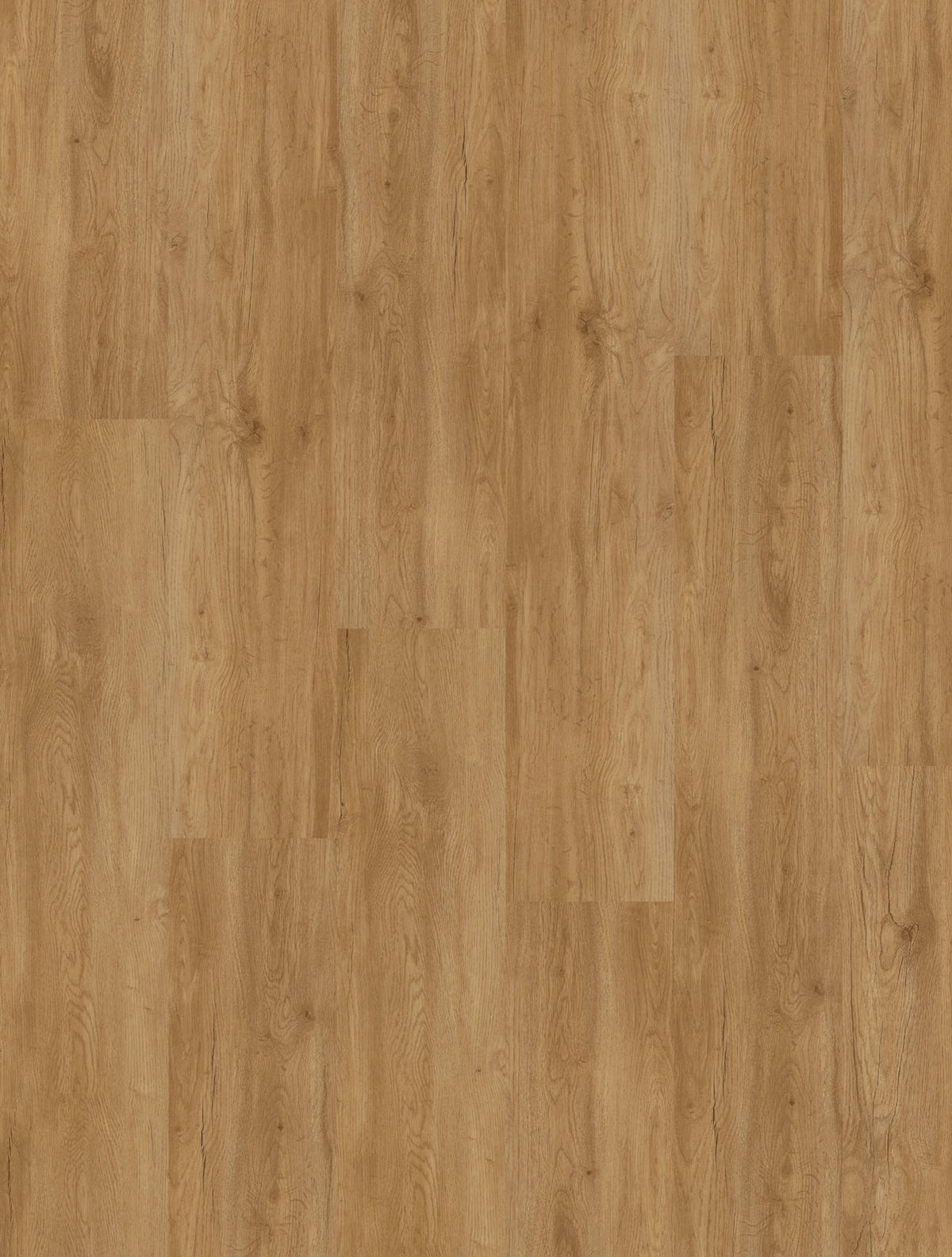 Designboden Homeline 30 2,0/0,30mm – 30-04 Rüster 22,86x121,92
