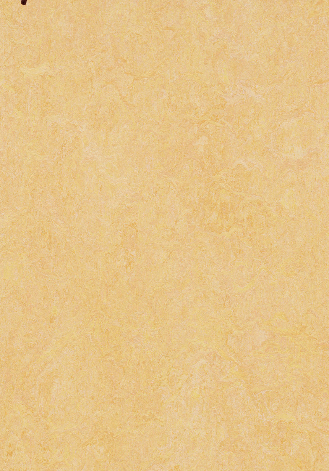 Linoleum-Boden Jokalino 2,5mm Elastic/Linoleum Bahnen 200cm – Farbe 1005 nat. corn