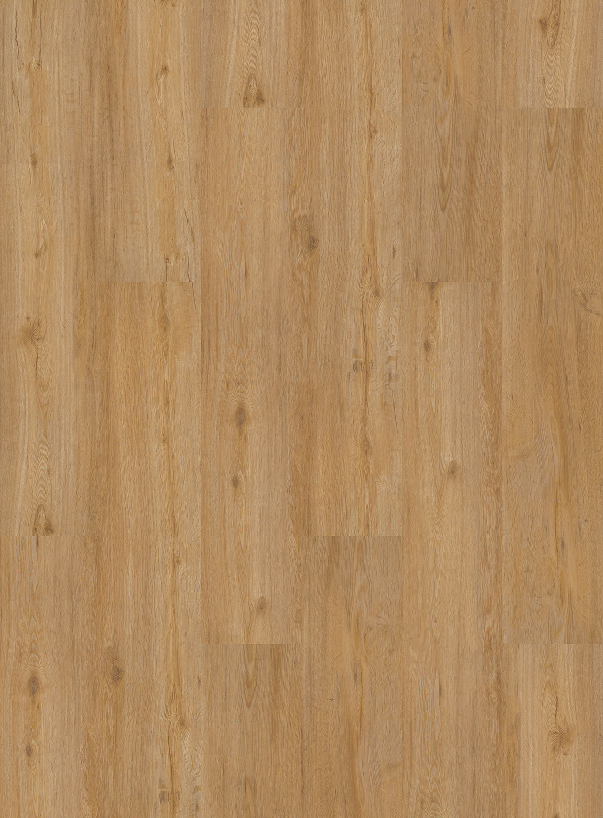Designboden Homeline 30 Click 4,8/0,3 mm inkl. IXPE – 31-19 Feldeiche Na17,81x124,46