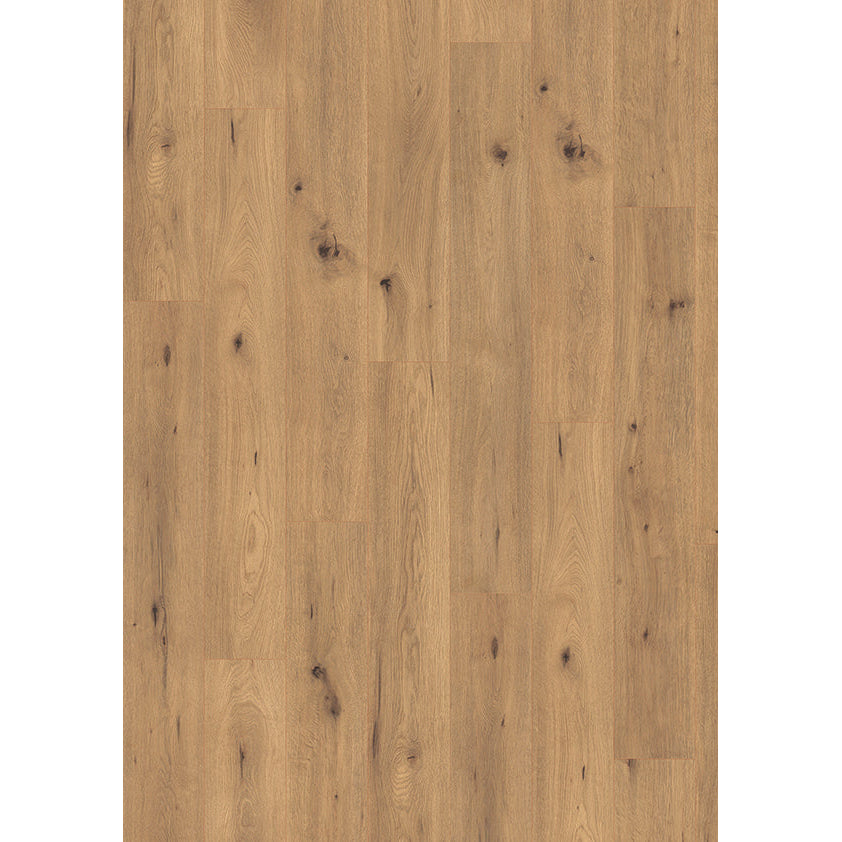 Laminat MADISON CITY 431NP NormalPlank mit "DUO-Connect+"-System NK31 V4 – 4844-Oak spirit 1-St. AS