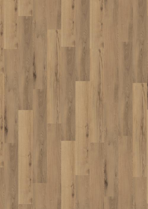 Elisa 2 Planke – Bacheiche 76007
